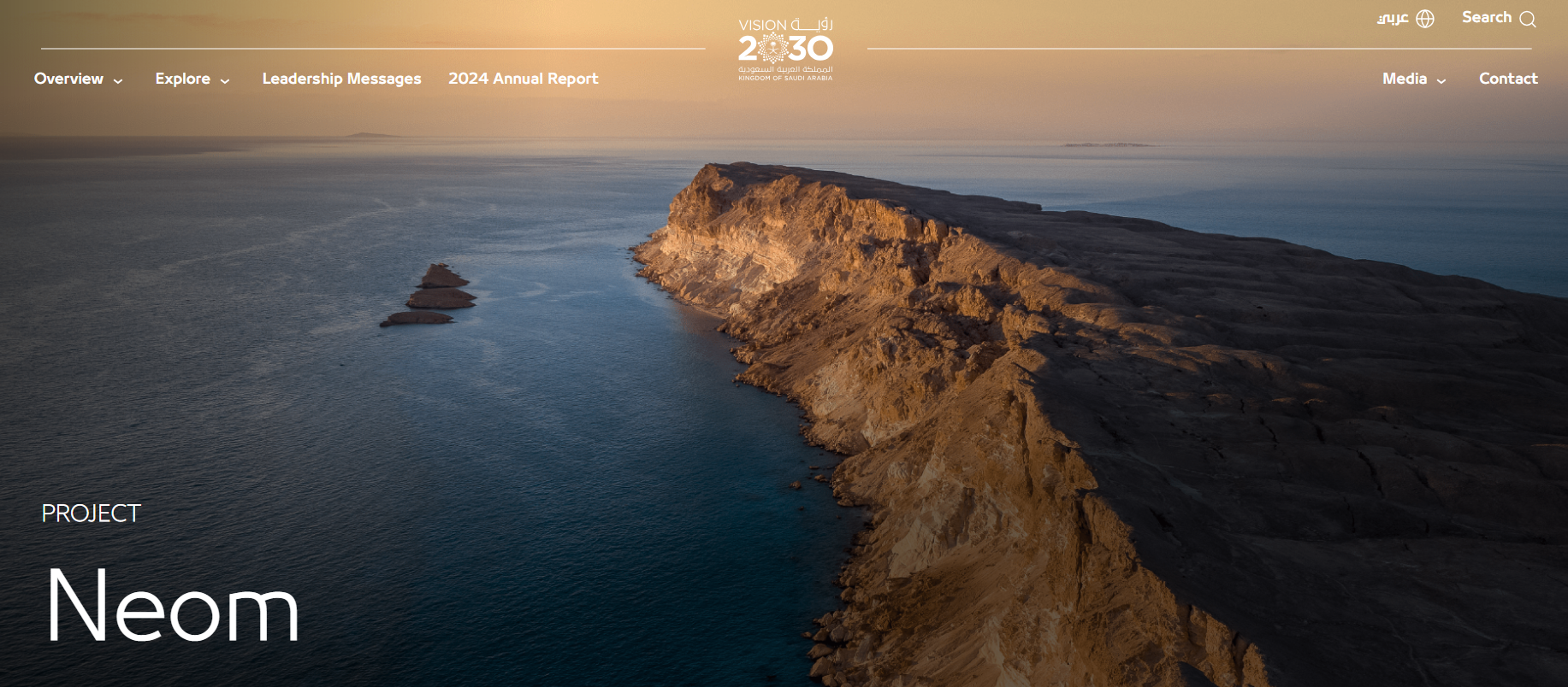 沙特建材市场成行业新蓝海，高端定制与绿色建材需求旺盛！